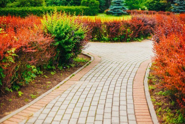 16 идей, из чего можно сделать красивую и практичную садовую дорожку 