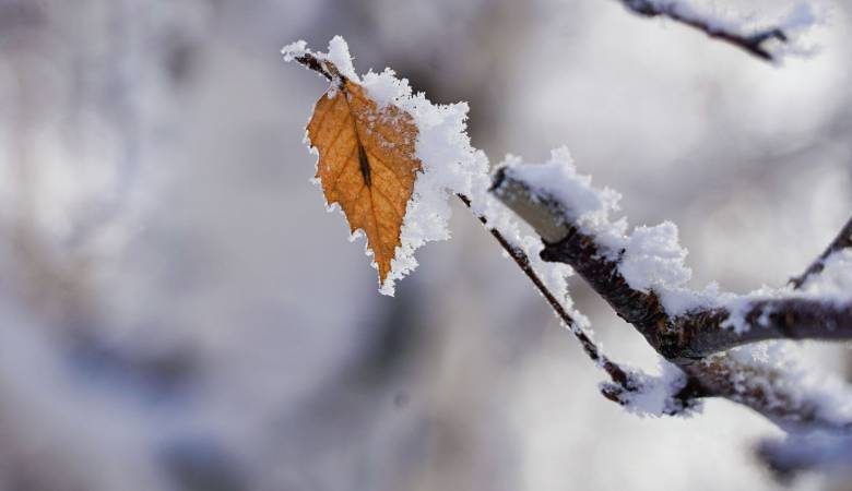 
Аномальное тепло или снегопады: прогноз погоды на декабрь 2023 года в Москве, Петербурге, Сибири и на Урале                