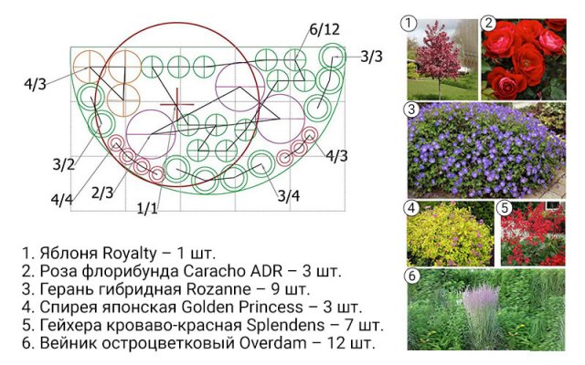 Цветник вдоль забора – схемы с описанием растений 