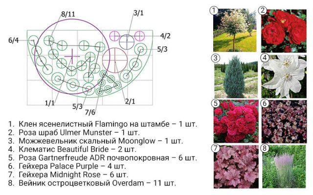 Цветник вдоль забора – схемы с описанием растений 