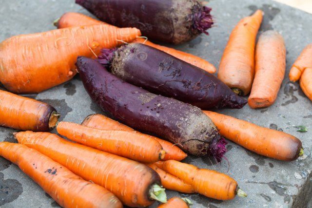 Как правильно хранить свеклу и морковь 