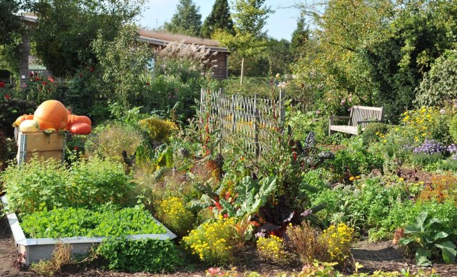 Красивый огород своими руками – 22 идеи по обустройству грядок 