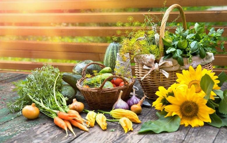 
Огород по лунному календарю: благоприятные дни для уборки овощей в сентябре 2022 года                
