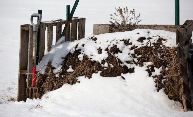 Подкормки по снегу – что, где и зачем сыпать