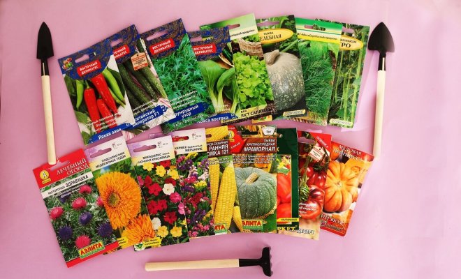 Сколько семян покупать – планирование посадок овощей 