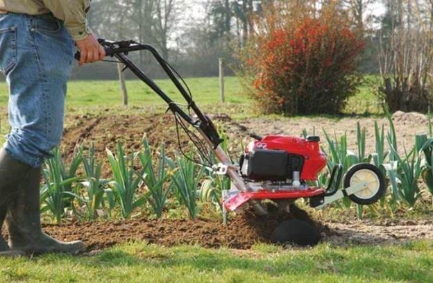 Выбор культиватора для дачи