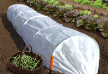 Спанбонд: хорошее укрытие на зиму