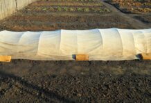 Спанбонд: хорошее укрытие на зиму
