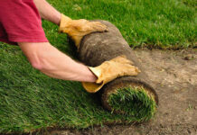 Правильная укладка рулонного газона