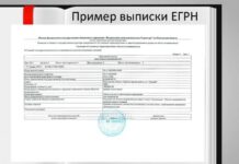 Как получить выписку из ЕГРН через интернет?