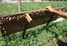 Выжить в условиях кризиса — предприимчивые предприниматели