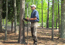 Подеревная съемка