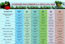 Как сажать по лунному календарю?