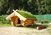 Что нужно знать о сушке бревна перед строительством сруба