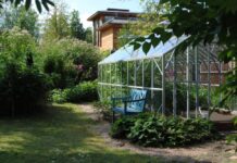 Теплицы: неотъемлемая часть большинства дачных участков