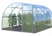 Теплицы из поликарбоната: основные преимущества и правила выбора