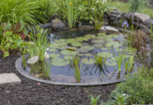 Эксплуатация и уход за прудом