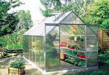 Советы по выбору теплицы для дачи