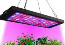 Принцип работы фитосветильников