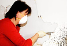 Как убрать плесень и грибок со стен в квартире?