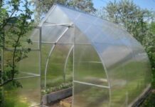 Теплицы из поликарбоната: отличный вариант для ускорения созревания плодов на дачном участке