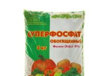Популярные удобрения для огорода