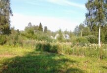 Где купить земельный участок в Ленобласти?