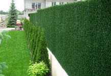 Хвойная сетка для забора: помогает уменьшить видимость двора со стороны