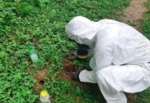 Борьба с кротами на садовом участке