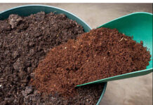 Особенности почвогрунта