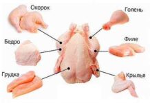 Что важно учесть при выборе мяса птицы?