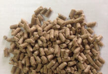 Виды кормов для крупного рогатого скота