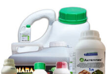 Средства защиты растений: правила выбора