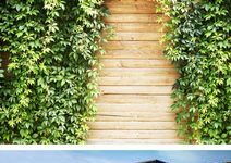 Фотосетка для забора: новый вид декора, который только начинает набирать популярность