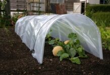 Для чего нужен парник?