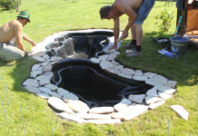 Искусственный пруд на даче: как создать и оформить