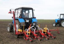 Обзор техники для выращивания чеснока