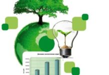 В чем заключается сущность экологического консалтинга?