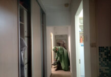 Быстро и выгодно уничтожить клопов в Красногорске с обработкой квартиры можно по акции от СЭС Биотрикс