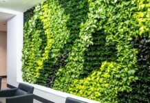 Преимущества озеленения офиса