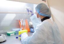 Какие услуги предоставляет собой эпидемиологическая служба?