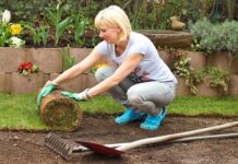 Укладка рулонного газона: технология и уход