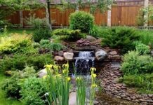 Ландшафтный дизайн дачного участка: потрясающие идеи