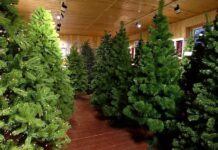 Преимущества искусственных елок
