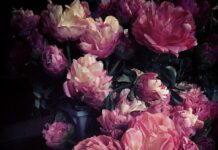 В чем разница между голландскими и российскими пионами?