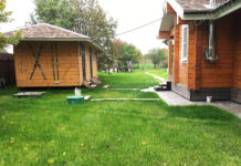 Как вырастить идеальный газон на своем участке?