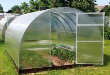 Причины популярности теплиц из поликарбоната