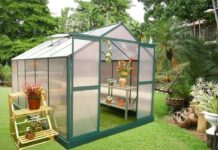 Теплицы из поликарбоната: отличный вариант для ускорения созревания плодов на дачном участке