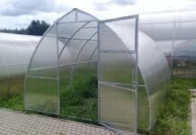 Парник из поликарбоната: разновидности форм