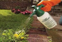 Без семян и удобрения хороший урожай не соберешь